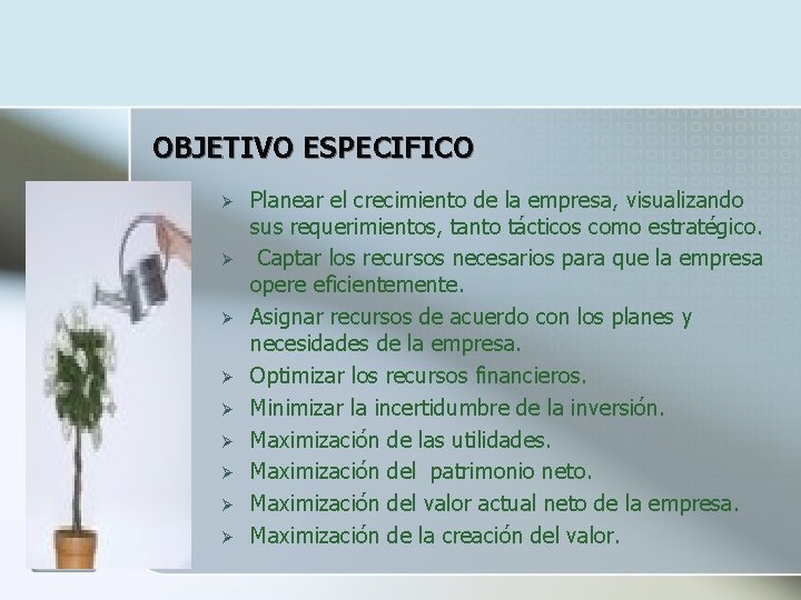 OBJETIVO ESPECIFICO Ø Ø Ø Ø Ø Planear el crecimiento de la empresa, visualizando