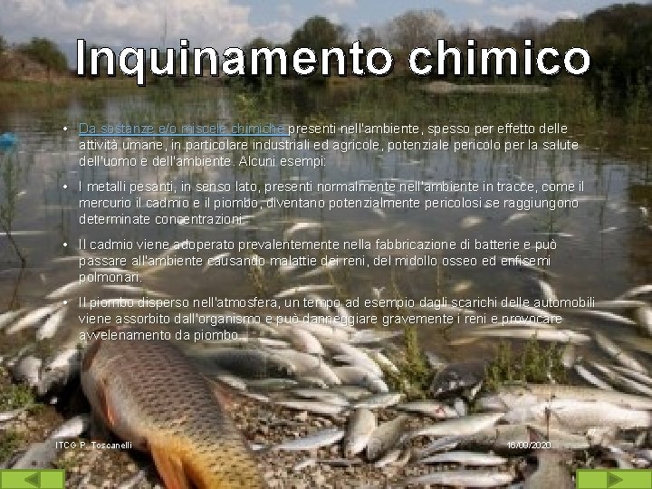 Inquinamento chimico • Da sostanze e/o miscele chimiche presenti nell'ambiente, spesso per effetto delle Inquinamento chimico • Da sostanze e/o miscele chimiche presenti nell'ambiente, spesso per effetto delle