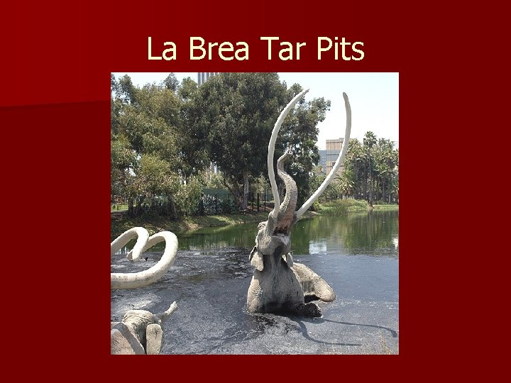 La Brea Tar Pits 