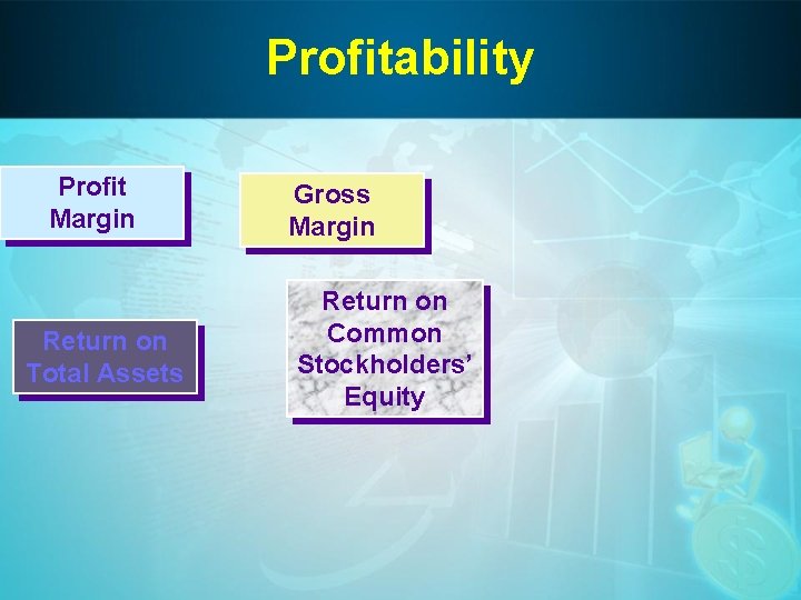 Profitability Profit Margin Return on Total Assets Gross Margin Return on Common Stockholders’ Equity