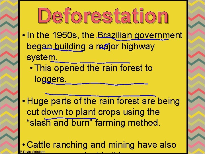 Deforestation • In the 1950 s, the Brazilian government began building a major highway