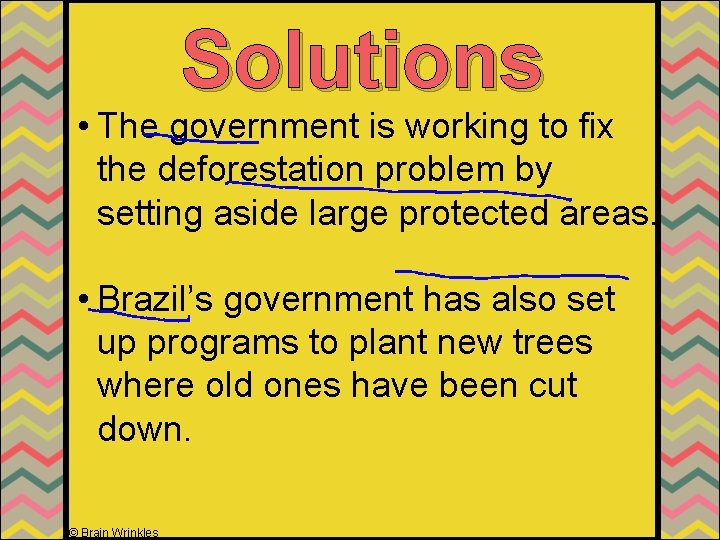 Solutions • The government is working to fix the deforestation problem by setting aside