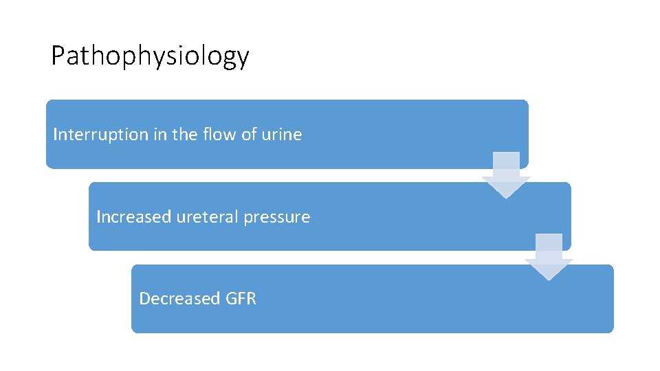 Pathophysiology Interruption in the flow of urine Increased ureteral pressure Decreased GFR 