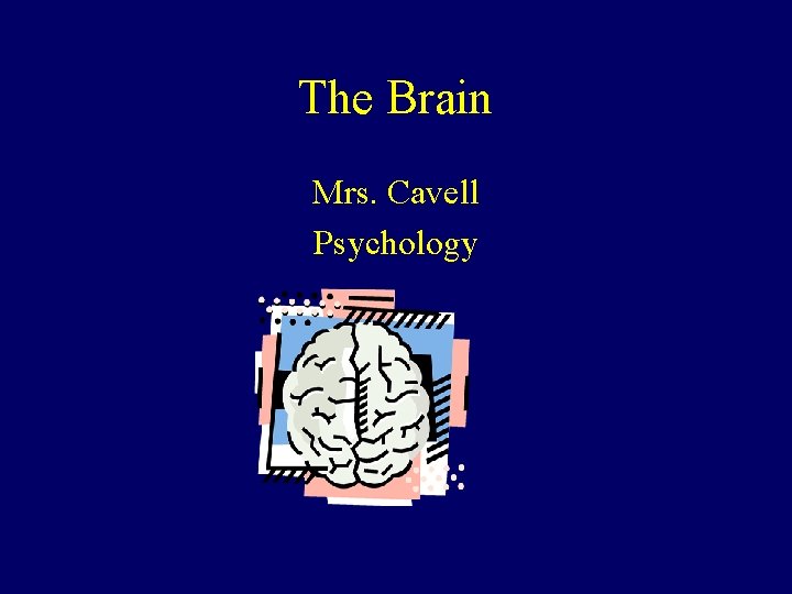 The Brain Mrs. Cavell Psychology 