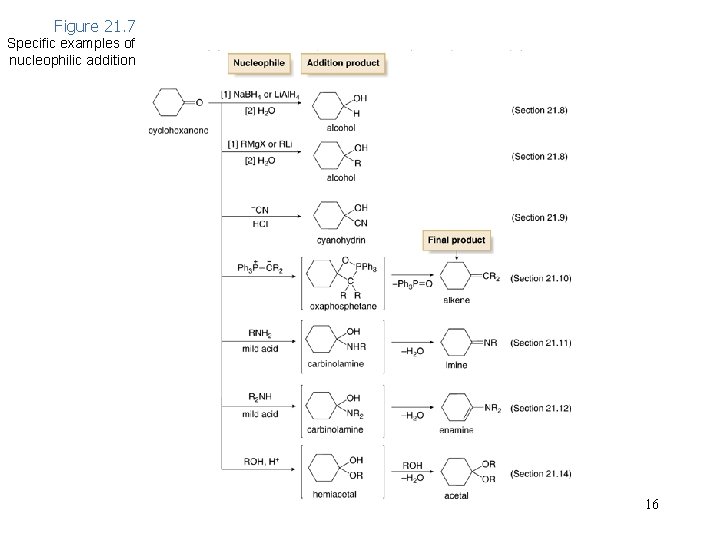 Figure 21. 7 Specific examples of nucleophilic addition 16 