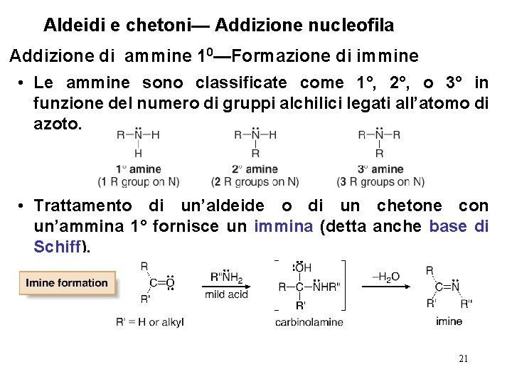 Aldeidi e chetoni— Addizione nucleofila Addizione di ammine 10—Formazione di immine • Le ammine