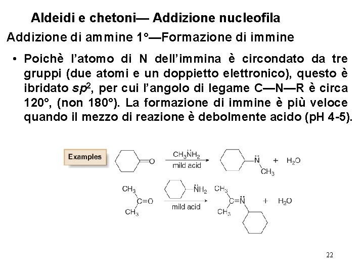 Aldeidi e chetoni— Addizione nucleofila Addizione di ammine 1°—Formazione di immine • Poichè l’atomo