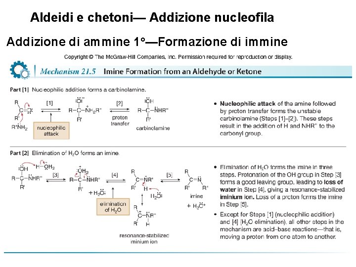 Aldeidi e chetoni— Addizione nucleofila Addizione di ammine 1°—Formazione di immine 23 