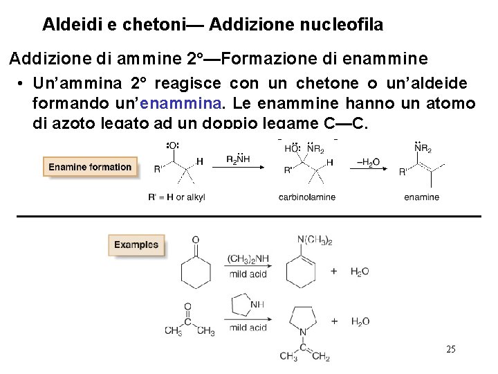 Aldeidi e chetoni— Addizione nucleofila Addizione di ammine 2°—Formazione di enammine • Un’ammina 2°