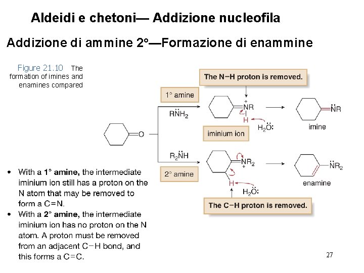 Aldeidi e chetoni— Addizione nucleofila Addizione di ammine 2°—Formazione di enammine Figure 21. 10