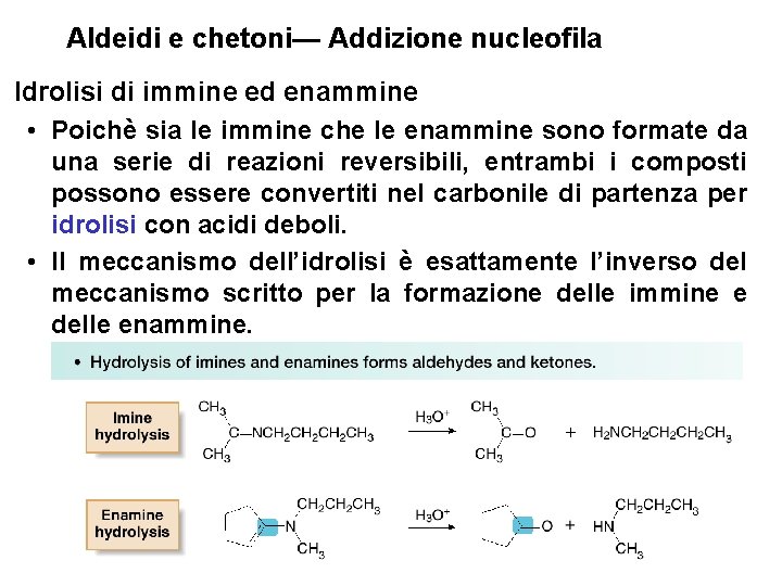 Aldeidi e chetoni— Addizione nucleofila Idrolisi di immine ed enammine • Poichè sia le