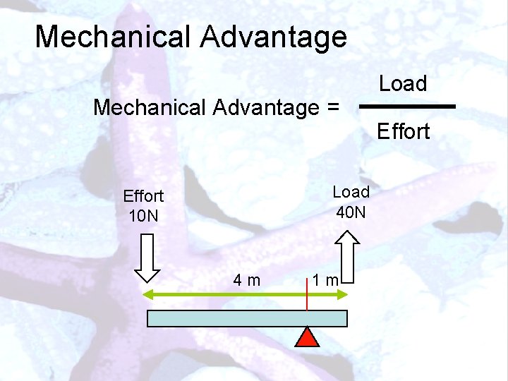Mechanical Advantage = Load 40 N Effort 10 N 4 m 1 m Load