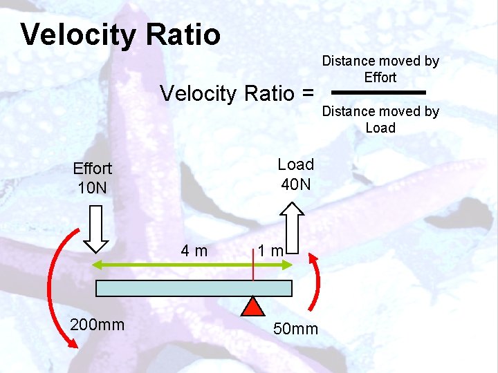 Velocity Ratio = Load 40 N Effort 10 N 4 m 200 mm 1