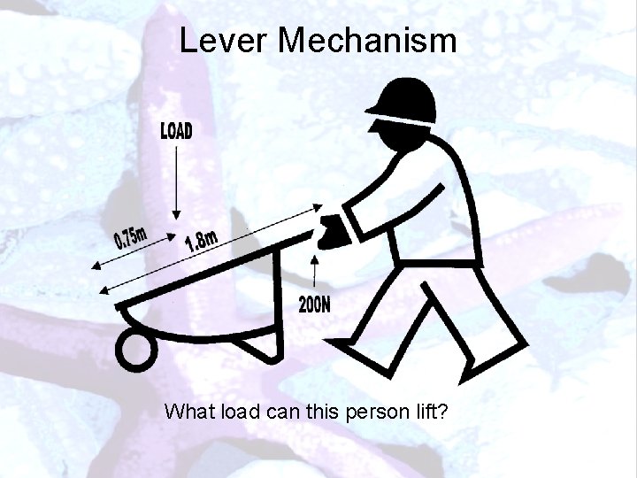 Lever Mechanism What load can this person lift? 