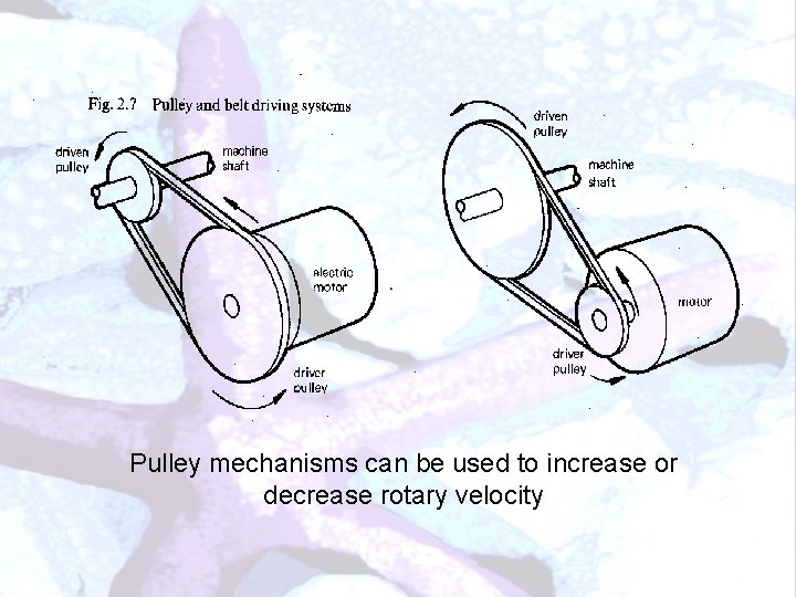 Pulley mechanisms can be used to increase or decrease rotary velocity 
