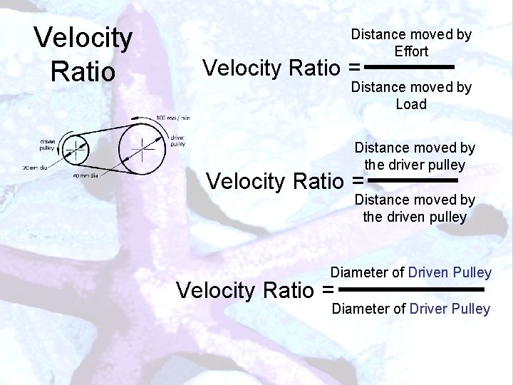 Velocity Ratio Distance moved by Effort Velocity Ratio = Distance moved by Load Distance