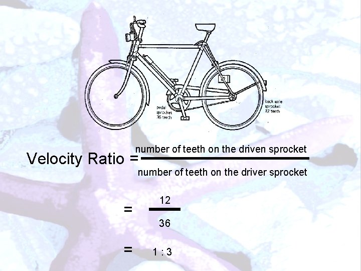 number of teeth on the driven sprocket Velocity Ratio = number of teeth on