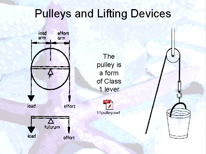 Pulleys and Lifting Devices The pulley is a form of Class 1 lever 