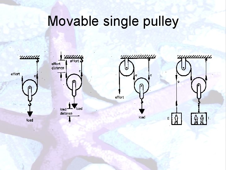 Movable single pulley 