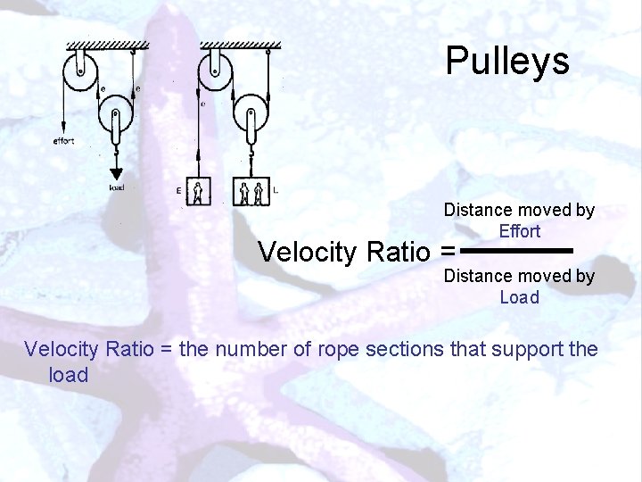 Pulleys Distance moved by Effort Velocity Ratio = Distance moved by Load Velocity Ratio