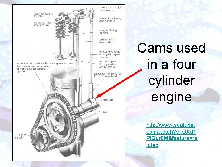 Cams used in a four cylinder engine http: //www. youtube. com/watch? v=OXd 1 Pl.