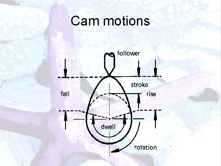 Cam motions 