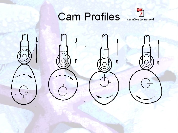 Cam Profiles 