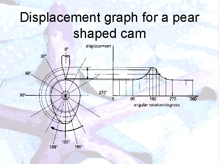 Displacement graph for a pear shaped cam 