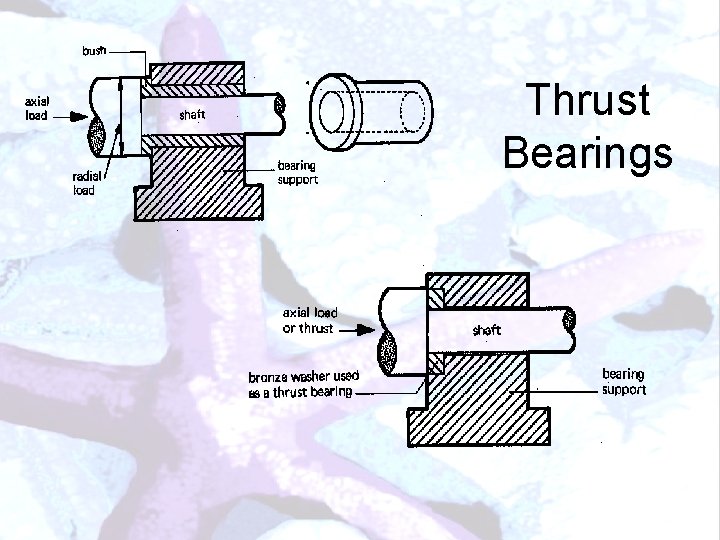 Thrust Bearings 