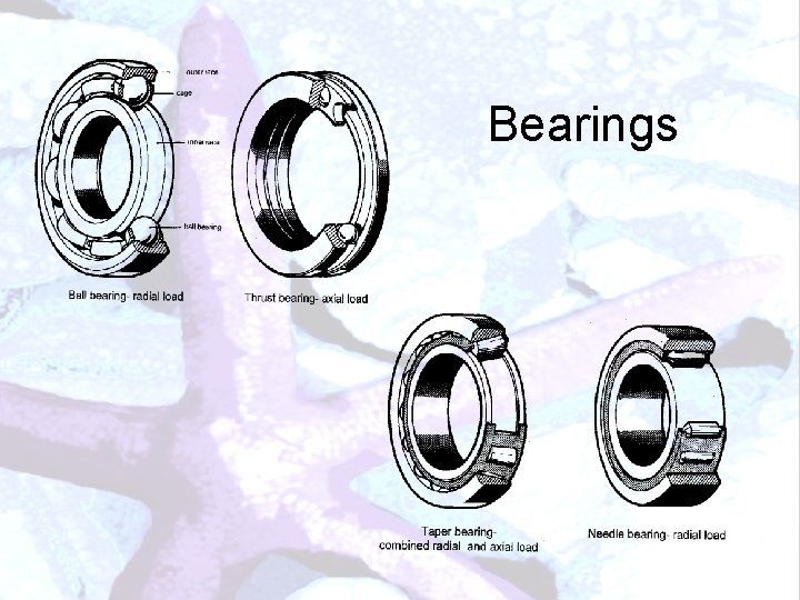 Bearings 