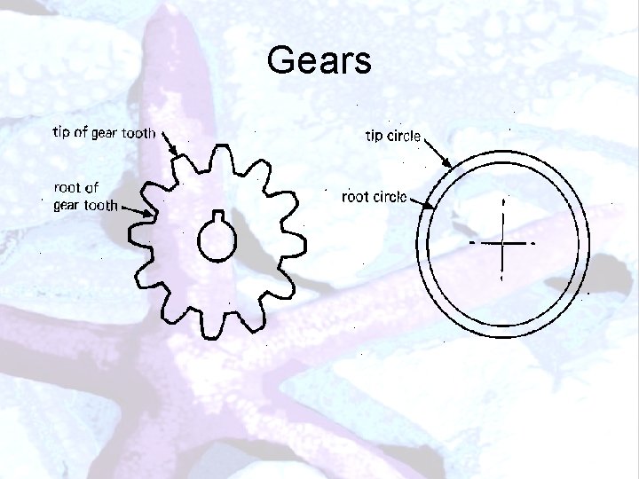 Gears 