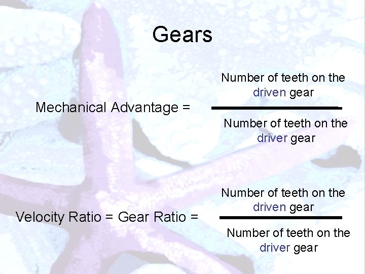 Gears Number of teeth on the driven gear Mechanical Advantage = Number of teeth