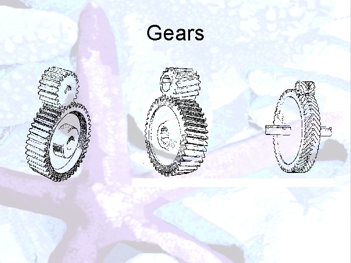 Gears 
