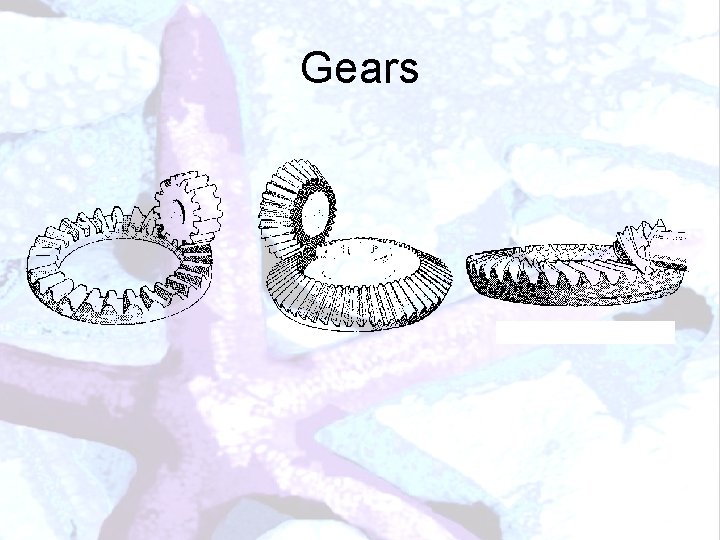 Gears 