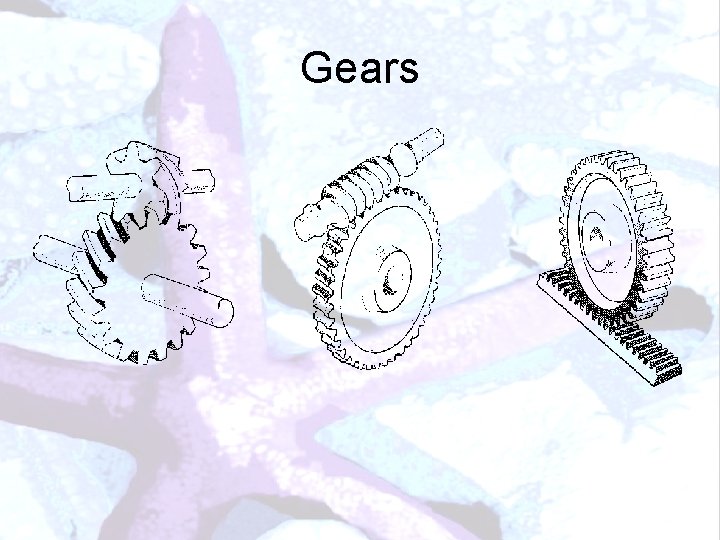 Gears 