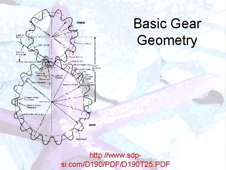 Basic Gear Geometry http: //www. sdpsi. com/D 190/PDF/D 190 T 25. PDF 