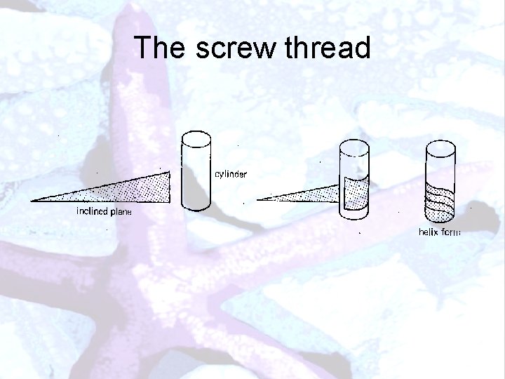The screw thread 