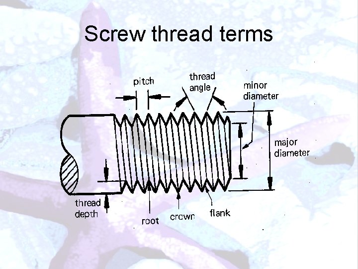 Screw thread terms 