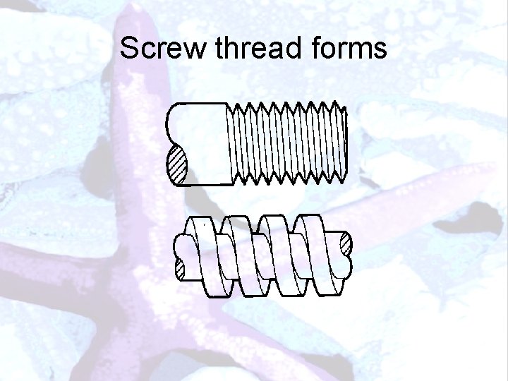 Screw thread forms 