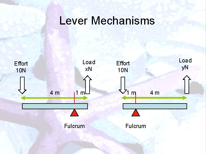 Lever Mechanisms Load x. N Effort 10 N 4 m 1 m Fulcrum Load