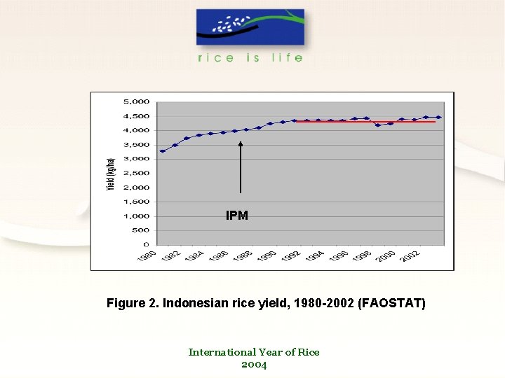 IPM Figure 2. Indonesian rice yield, 1980 -2002 (FAOSTAT) International Year of Rice 2004