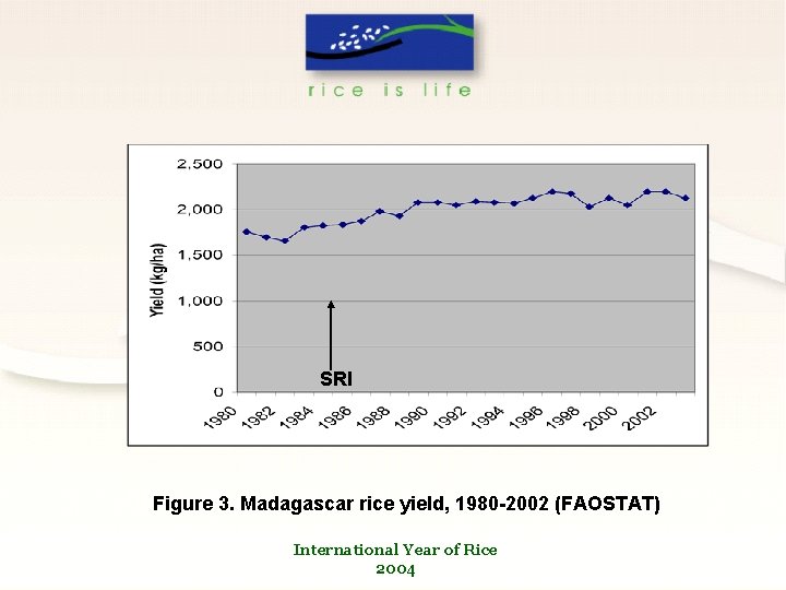 SRI Figure 3. Madagascar rice yield, 1980 -2002 (FAOSTAT) International Year of Rice 2004