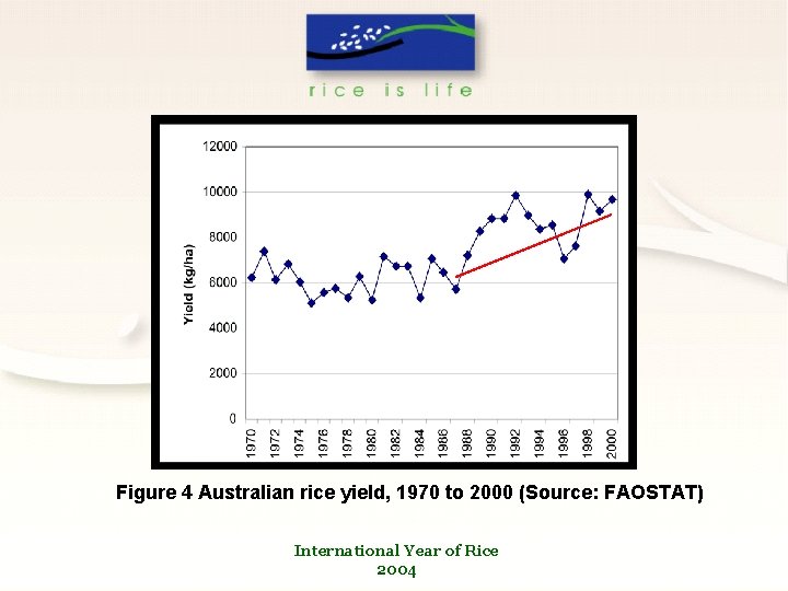 Figure 4 Australian rice yield, 1970 to 2000 (Source: FAOSTAT) International Year of Rice