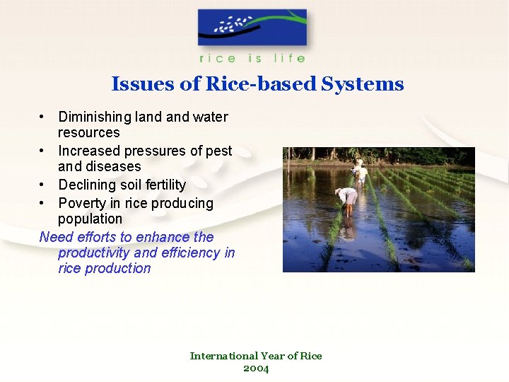 Issues of Rice-based Systems • Diminishing land water resources • Increased pressures of pest