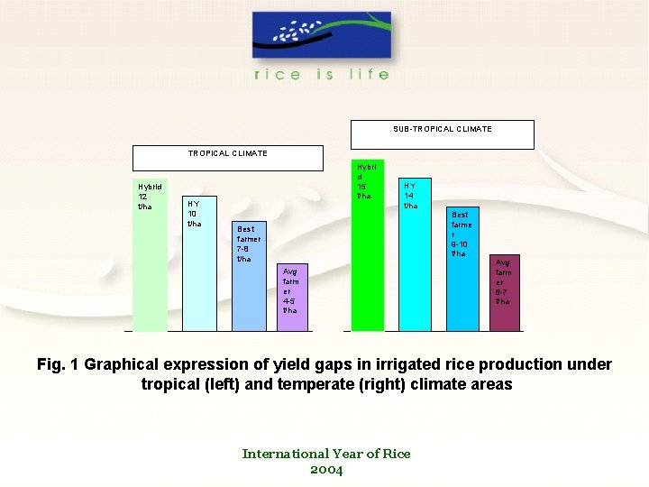 SUB-TROPICAL CLIMATE Hybrid 12 t/ha HY 10 t/ha Hybri d 15 t/ha HY 14