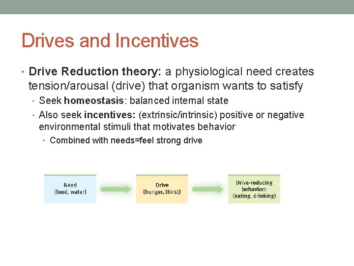 Drives and Incentives • Drive Reduction theory: a physiological need creates tension/arousal (drive) that