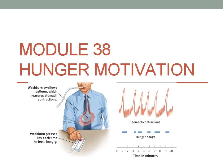 MODULE 38 HUNGER MOTIVATION 