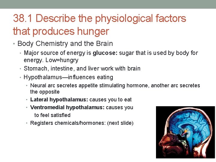 38. 1 Describe the physiological factors that produces hunger • Body Chemistry and the