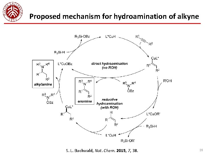 Proposed mechanism for hydroamination of alkyne S. L. Buchwald, Nat. Chem. 2015, 7, 38.