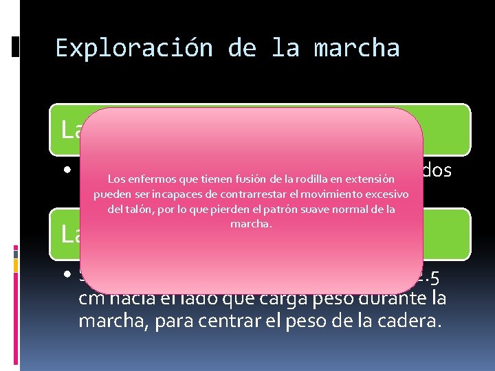 Exploración de la marcha La rodilla • Debe conservarse en flexión durante todos Los